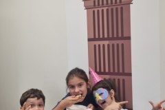 1_zdj009